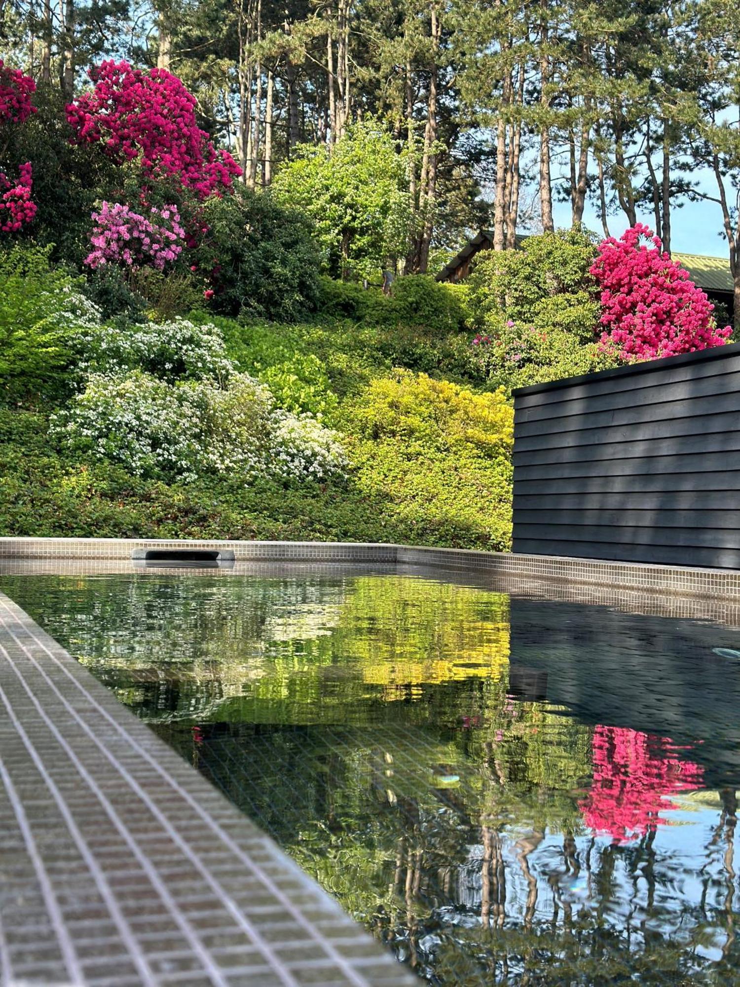 Hotel Les Pins De Cesar - La Campagne D'Etretat Saint-Jouin-Bruneval Exterior foto